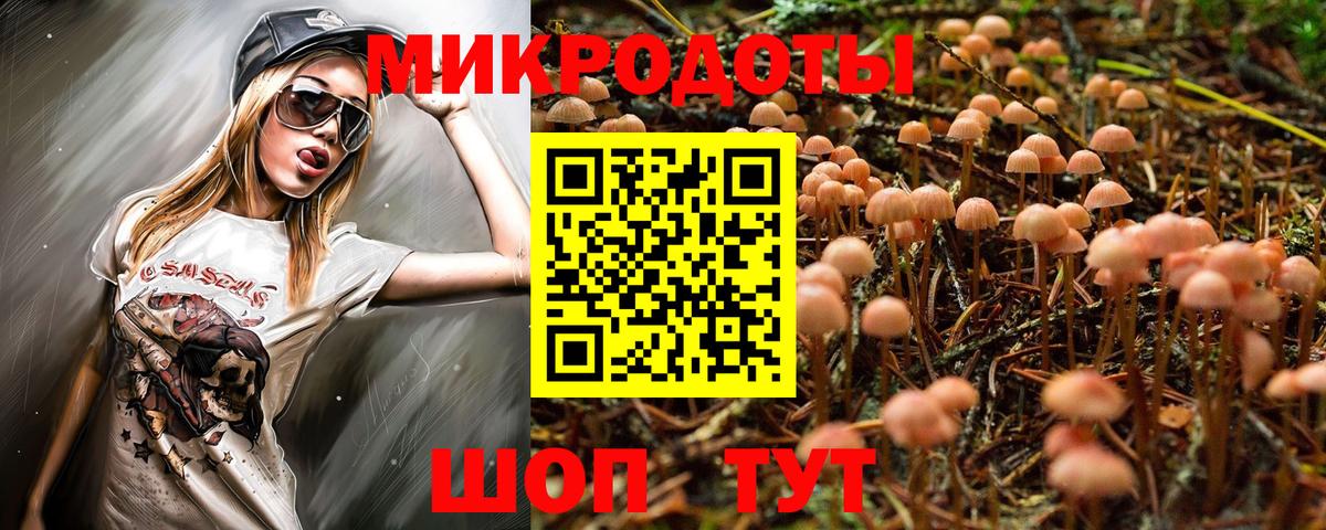 Псилоцибиновые грибы мухоморы Октябрьский